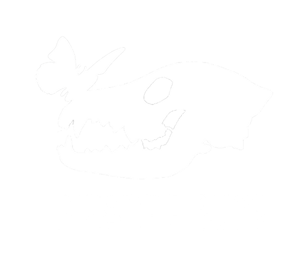 Bizarre Bugs LLC