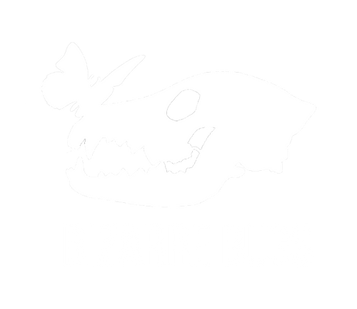Bizarre Bugs LLC